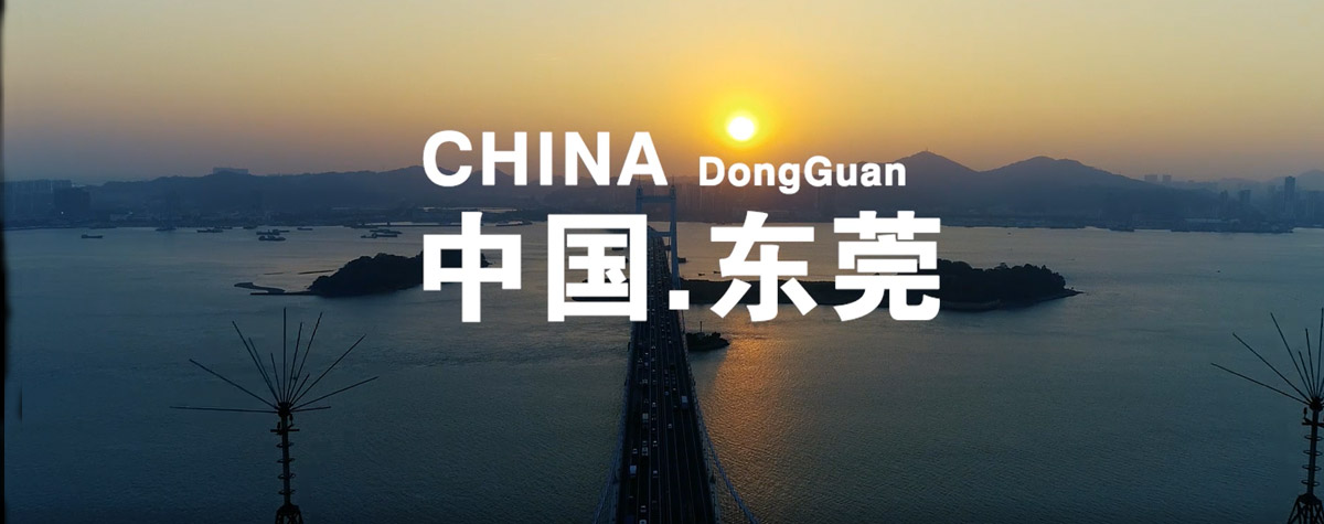 金彩汇视频